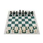 Ajedrez porfesional MEDTGOL en lona